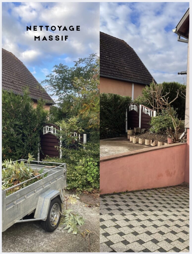 Image 15-10-2025 à 15.54