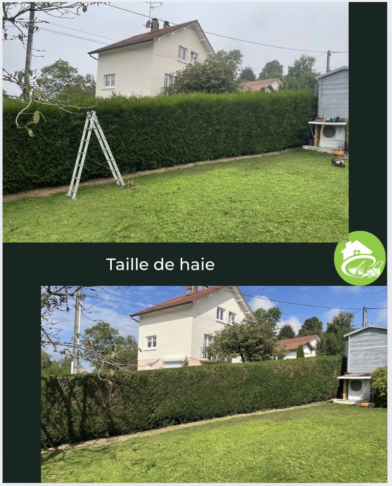 Image 15-10-2025 à 16.13